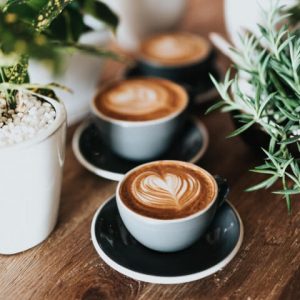 cafe template gallery img 2 1 300x300.jpg